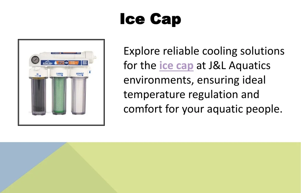 PPT - Ice Cap PowerPoint Presentation, free download - ID:13025066
