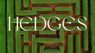 Choosing the Perfect Hedge Tailoring Your Landscape with Versatile Hedges