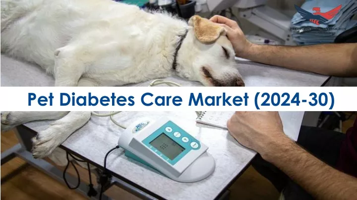 pet diabetes care market 2024 30