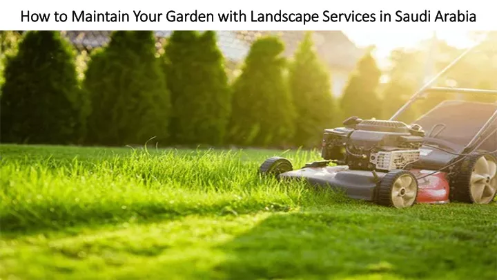 how to maintain your garden with landscape