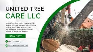 United Tree Care LLC
