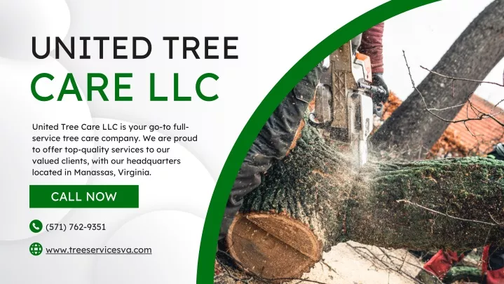 united tree care llc