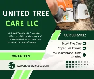 Tree removal in Manassas VA