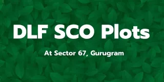 DLF SCO Plots Sector 67 In Gurugam - Brochure