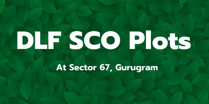 dlf sco plots at sector 67 gurugram