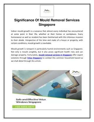 Significance Of Mould Removal Services Singapore