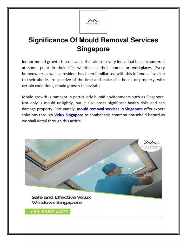 significance of mould removal services singapore