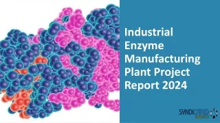 Industrial Enzyme Manufacturing Plant Project Report 2024