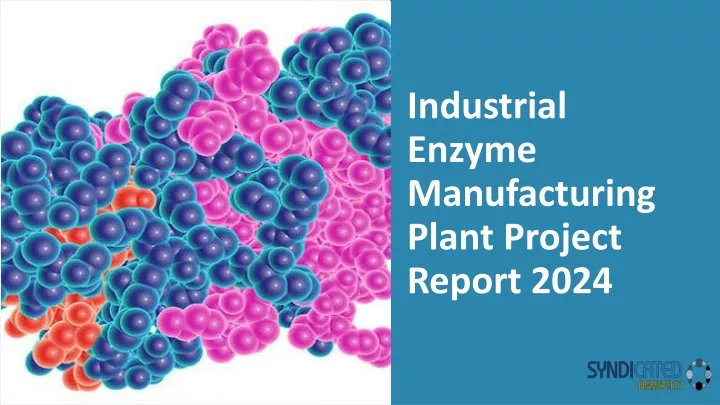 industrial enzyme manufacturing plant project report 2024