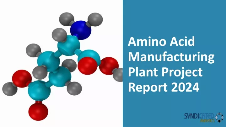 amino acid manufacturing plant project report 2024