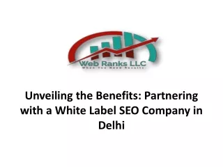 Unveiling the Benefits: Partnering with a White Label SEO Company in Delhi