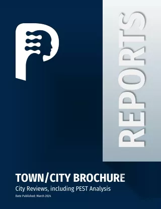 City Reviews, with PEST analysis: Brochure