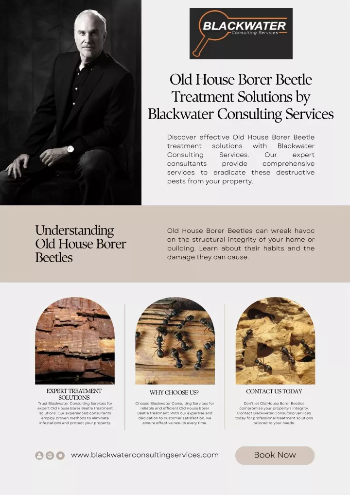 old house borer beetle treatment solutions