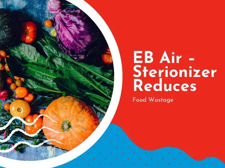 eb air sterionizer reduces food wastage