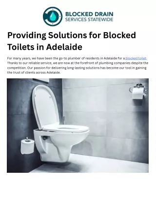 Providing Solutions for Blocked Toilets in Adelaide