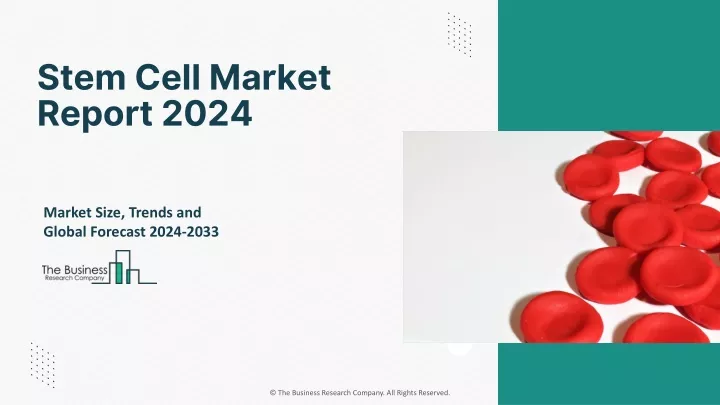 stem cell market report 2024