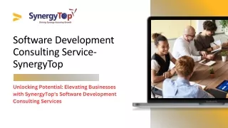 Software Development Consulting - SynergyTop