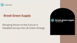 Bringing Power to the Future A Detailed Survey into UK Green Energy