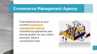 Ecommerce Management Agency