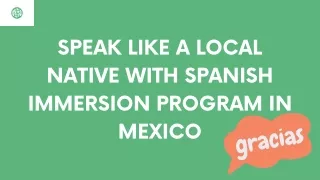 Speak Like a Local Native with Spanish Immersion Program in Mexico