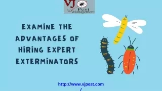 Analyze The Benefits of Employing Qualified Exterminators