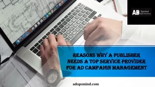 Reasons why a Publisher needs a top service provider for ad campaign management