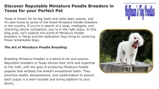 Discover Reputable Miniature Poodle Breeders in Texas for your Perfect Pet
