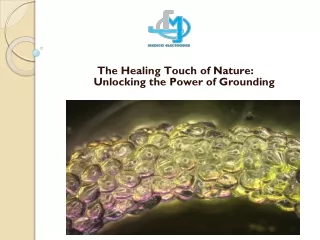 The Healing Touch of Nature_ Unlocking the Power of Grounding