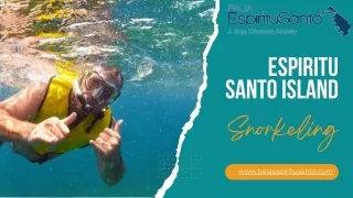 Explore Underwater Wonders Snorkeling Adventures at Espiritu Santo Island