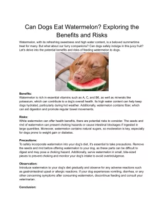 Can Dogs Eat Watermelon_ Exploring the Benefits and Risks
