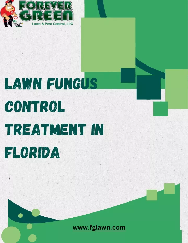 lawn fungus control treatment in florida