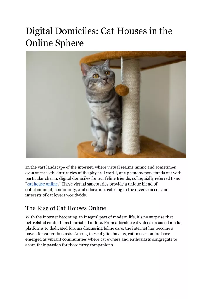 digital domiciles cat houses in the online sphere