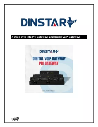 PRI Gateways and Digital VoIP Gateways | Dinstar India