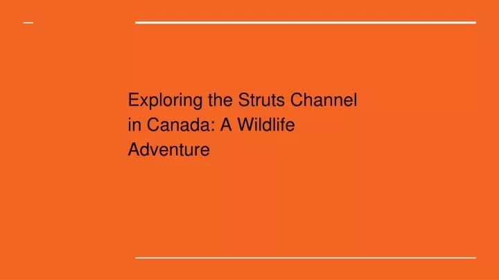 exploring the struts channel in canada a wildlife adventure