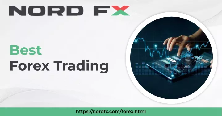 best forex trading