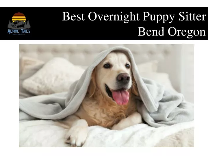 best overnight puppy sitter bend oregon