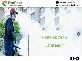 Yes we are the Best Pest Control in Odisha