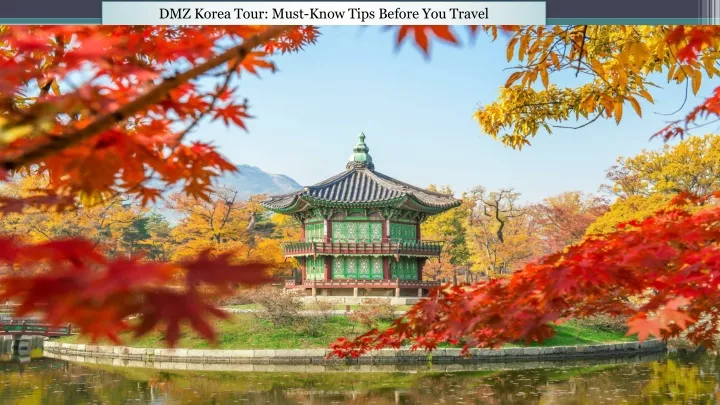 dmz korea tour must know tips before you travel