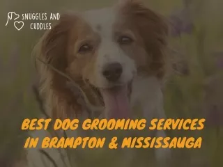Dog Grooming Services in Brampton & Mississauga | Snuggles and Cuddles
