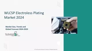 wlcsp electroless plating market 2024