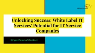 Unlocking Success_ White Label IT Services' Potential for IT Service Companies