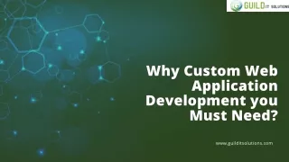 Custom Web Application Development for Corporate Solutions