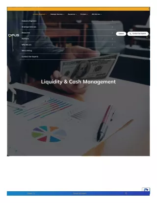 opustechglobal-com-liquidity-cash-management- (1)