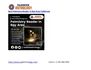 Best Palmistry Reader in Bay Area California