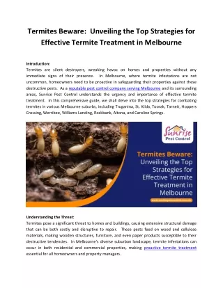 Termites Beware Unveiling the Top Strategies for Effective Termite Treatment in Melbourne