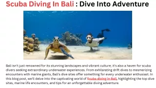 Bali Dive Shop Dive Into Adventure