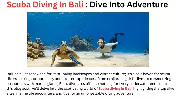 scuba diving in bali dive into adventure