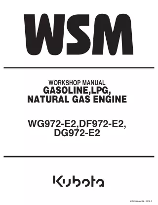 Kubota WG972-E2 Natural Gas Engine Service Repair Manual