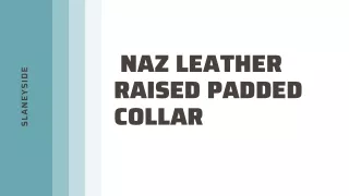 Naz Leather Raised Padded Collar - Slaneyside Kennels