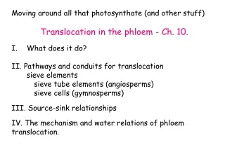 moving around all that photosynthate and other